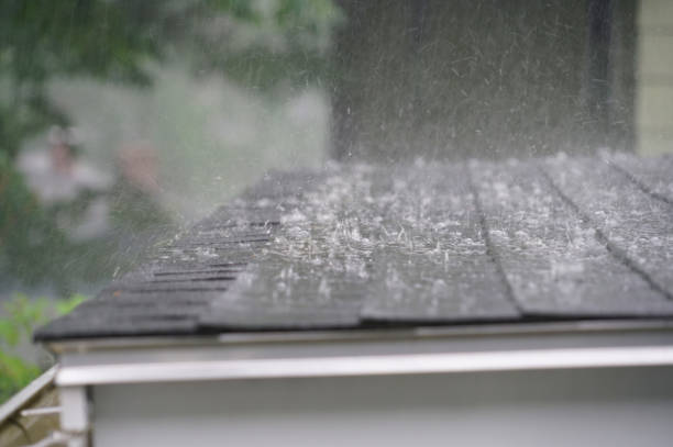 Trusted North Auburn, CA Roofing Service Experts